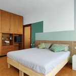 Rent 1 bedroom apartment of 55 m² in milan