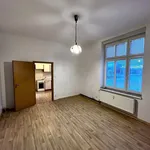 Rent 1 bedroom apartment in Plzeň-jih