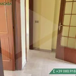 Rent 3 bedroom apartment of 85 m² in Bari