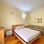 Rent 2 bedroom apartment of 50 m² in Turin