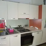 Rent 3 bedroom apartment of 80 m² in Trieste