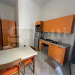 Rent 2 bedroom apartment of 50 m² in Monza