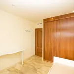 Rent 2 bedroom apartment of 65 m² in madrid