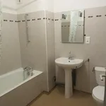 Rent 1 bedroom house of 57 m² in Rodez