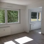 Appartement de 46 m² avec 2 chambre(s) en location à SARREBOURG