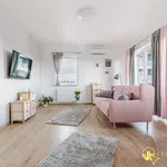 Rent 3 bedroom apartment of 60 m² in Łódź