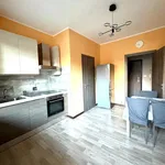 Rent 2 bedroom apartment of 75 m² in Rivoli