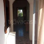 Rent 3 bedroom house of 80 m² in Maratea