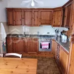 Rent 5 bedroom apartment of 100 m² in Massa