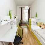 Rent 1 bedroom apartment of 10 m² in Brno