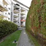 Rent 2 bedroom apartment of 50 m² in Graz