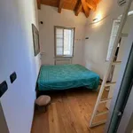 Rent 2 bedroom apartment of 65 m² in Turin