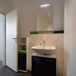 Rent 1 bedroom apartment of 29 m² in Frankfurt