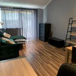 Rent 2 bedroom apartment of 48 m² in Poznan