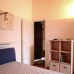 Rent 4 bedroom apartment of 80 m² in Cecina