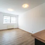 Rent 1 bedroom apartment of 29 m² in Capital City of Prague