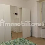 Rent 2 bedroom apartment of 50 m² in Turin