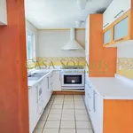 Rent 5 bedroom house in Guanajuato