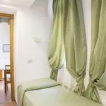 Rent 1 bedroom apartment of 25 m² in rome