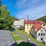 Rent 1 bedroom apartment of 29 m² in Kořenov