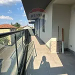 Affitto 3 camera appartamento di 75 m² in Busto Arsizio