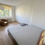 Pronajměte si 2 ložnic/e byt o rozloze 45 m² v Prague