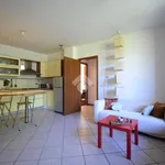 Rent 3 bedroom apartment of 80 m² in Brugherio