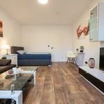 Miete 1 Schlafzimmer wohnung von 31 m² in Nürnberg