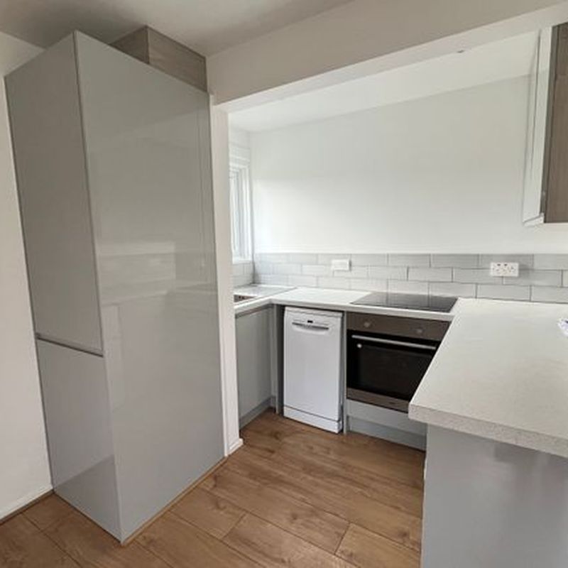 Studio to rent in Parsonage Leys, Harlow CM20 Netteswell