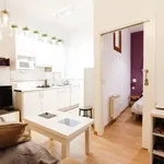 Rent 1 bedroom apartment of 32 m² in madrid