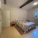 Rent 1 bedroom apartment of 65 m² in ferrara