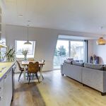 Rent 2 bedroom apartment of 69 m² in Prinsenbeek