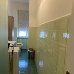 Rent 1 bedroom apartment of 30 m² in Torino