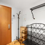 Pronajměte si 3 ložnic/e byt o rozloze 140 m² v Prague