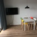 Rent 1 bedroom apartment of 34 m² in Rostock