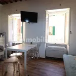 Rent 1 bedroom apartment of 30 m² in Siena