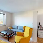 Pronájem bytu 2+1 63m²