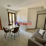 Rent 2 bedroom apartment of 45 m² in Pescia