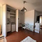 Rent 2 bedroom apartment of 45 m² in Roma