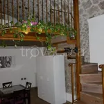 Rent 2 bedroom apartment of 60 m² in Terni