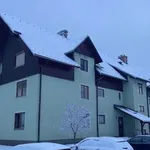 Rent 3 bedroom apartment of 76 m² in Lassing