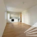 Rent 2 bedroom apartment of 41 m² in Linz