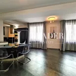 Rent 4 bedroom apartment of 141 m² in Bucuresti