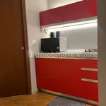 Rent 2 bedroom apartment of 50 m² in Turin