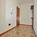 Rent 4 bedroom apartment of 130 m² in Cigliano