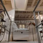 Rent 4 bedroom apartment of 95 m² in Florence