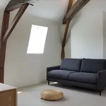 Rent 1 bedroom apartment of 18 m² in Roubaix