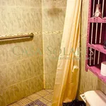 Rent 1 bedroom apartment in Guanajuato