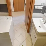 Rent 1 bedroom apartment of 22 m² in Prague