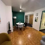 Maison de 52 m² avec 1 chambre(s) en location à Rodez